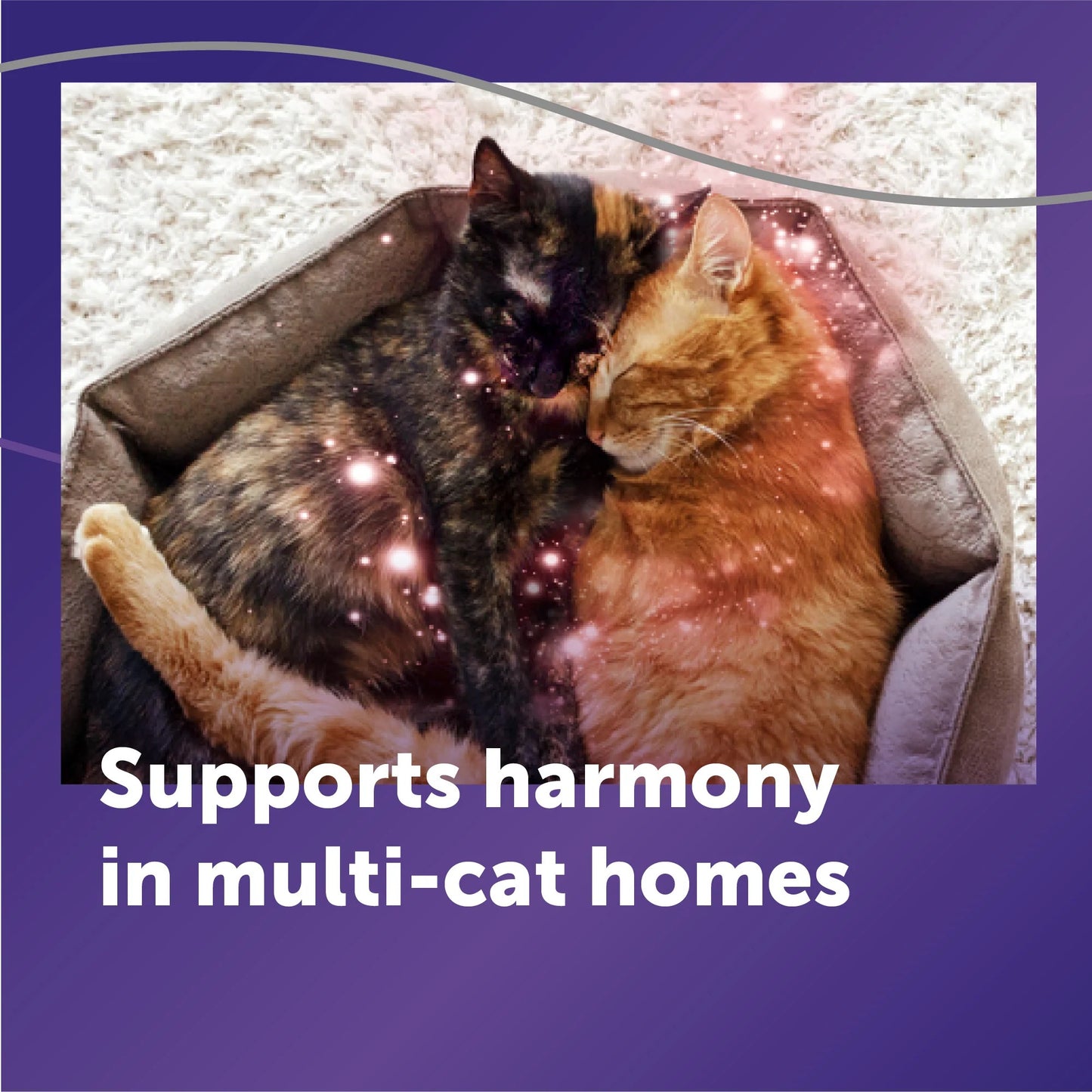 Cat Calming Diffuser